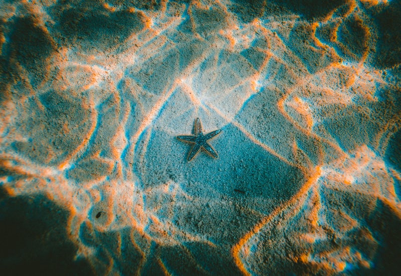 Étoile de mer reposant sur le sable sous l'eau, symbolisant l'harmonie intérieure et l'ancrage du coaching holistique.