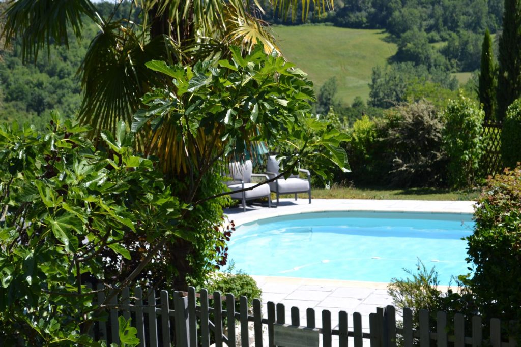 Piscine bleue entourée de nature verdoyante