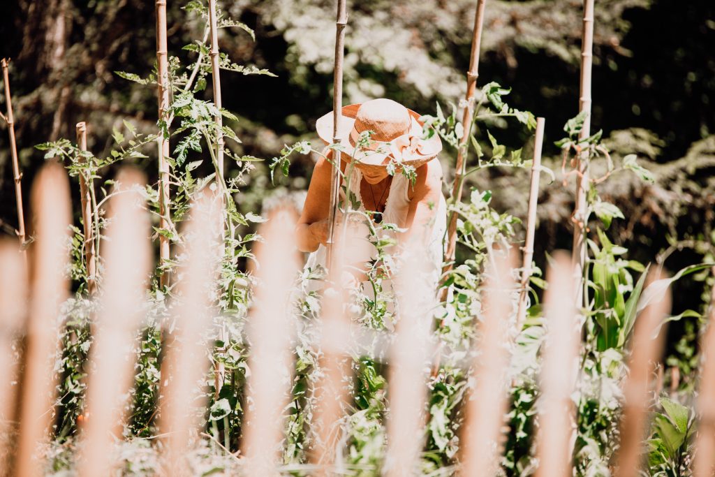 Une femme prend soin de son potager