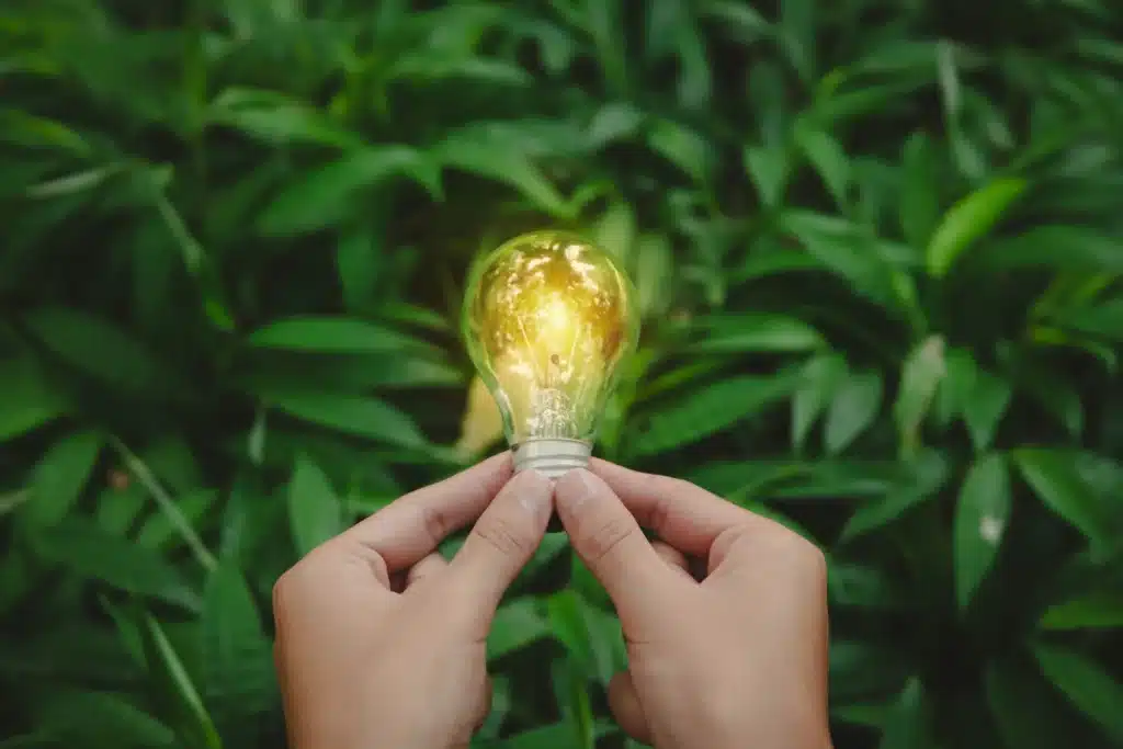 Ampoule illuminée sur fond de feuillage vert symbolisant l'innovation durable des entreprises régénératives.