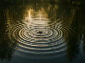 Ondes circulaires sur l’eau au coucher du soleil – symbole visuel du leadership en transition et de l’impact du coaching holistique